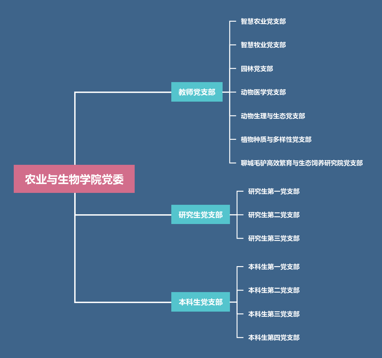VSport体育在线官网公司党委
